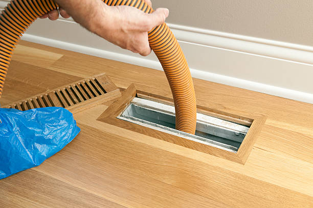 Best Air Vent Cleaning Services  in Humboldt, IA